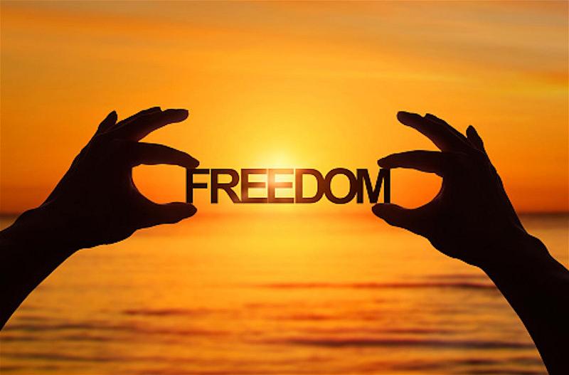 freedom-1
