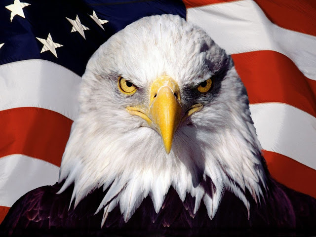 eagle-americanflag-wallpaper.jpg